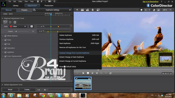 ColorDirector-600