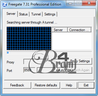 -Freegate Professional 7.31