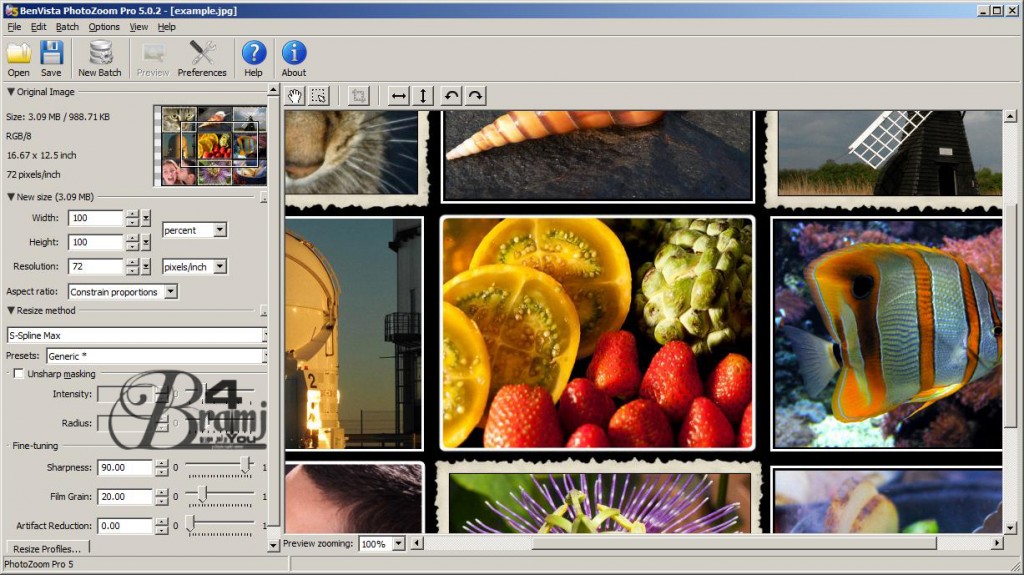 PhotoZoom-Pro-5