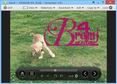 honeyview-screenshot-1