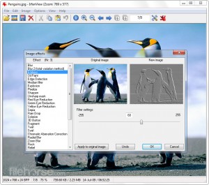 irfanview-screenshot-03